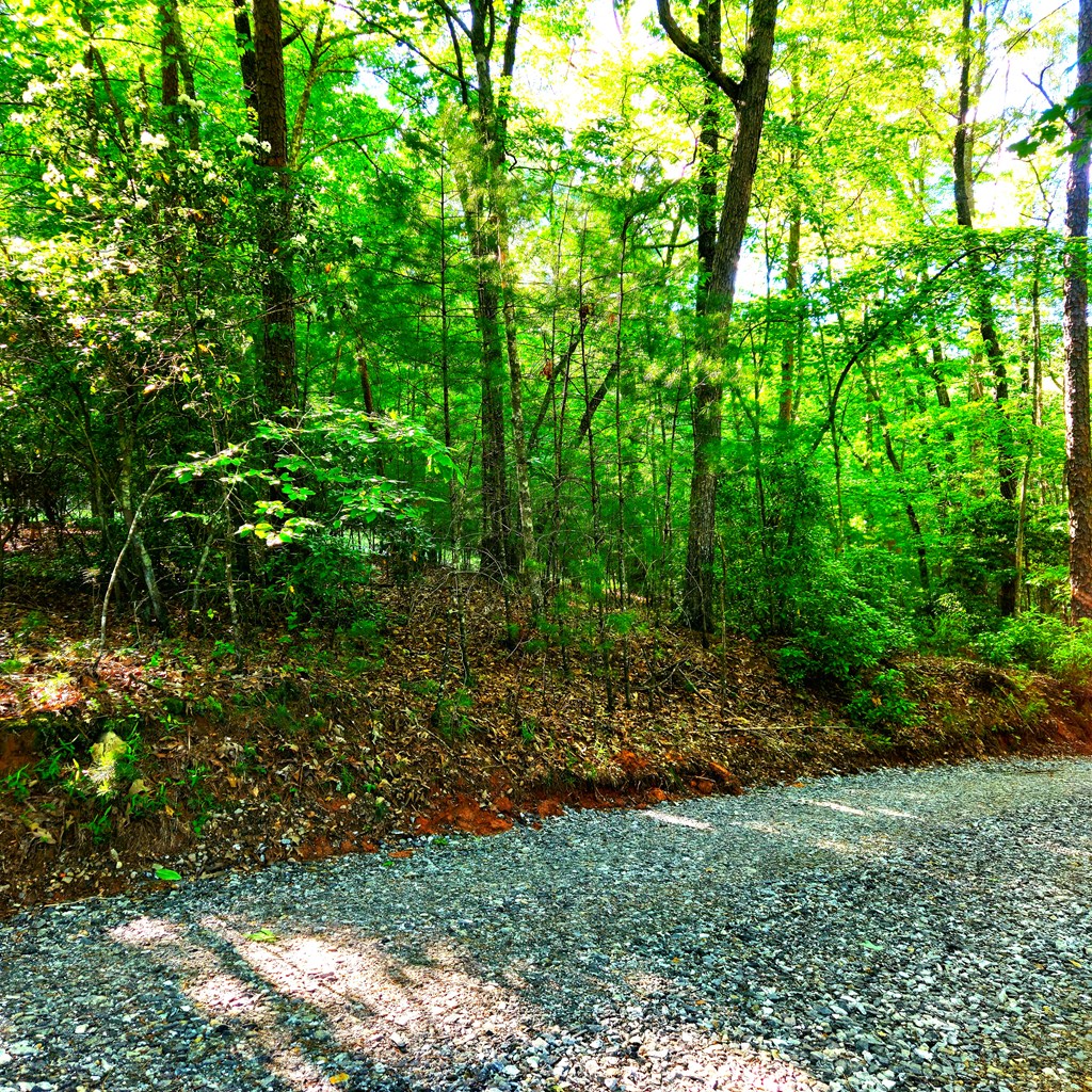 5.23acs Burgess Gap Road