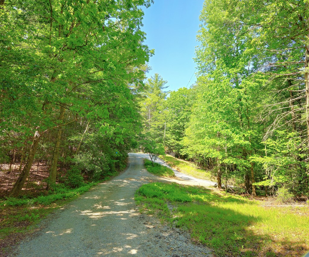 5.23acs Burgess Gap Road