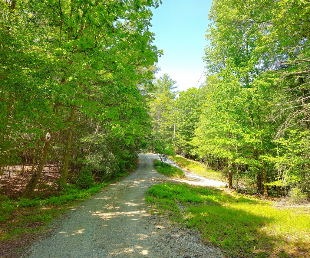 5.23acs Burgess Gap Road