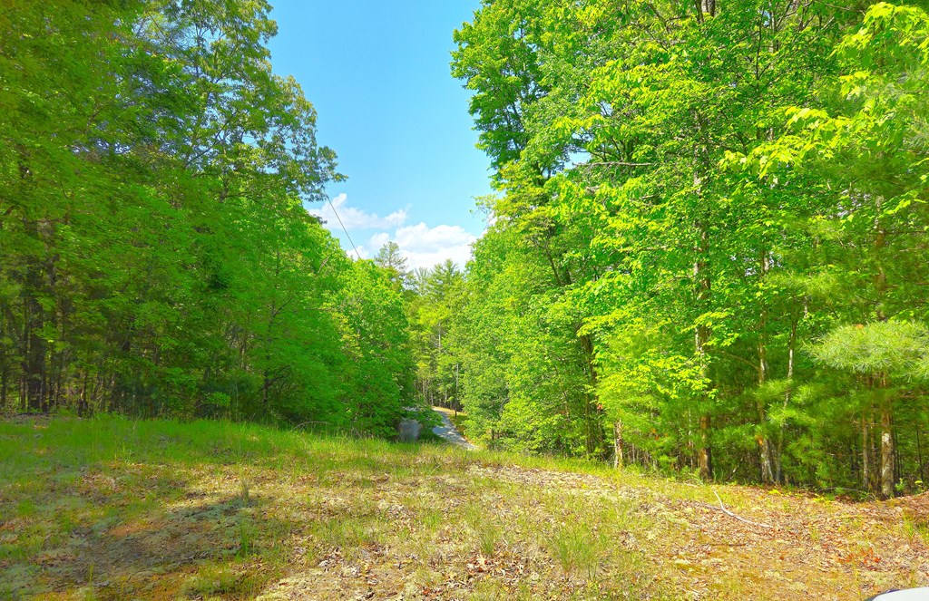 5.23acs Burgess Gap Road