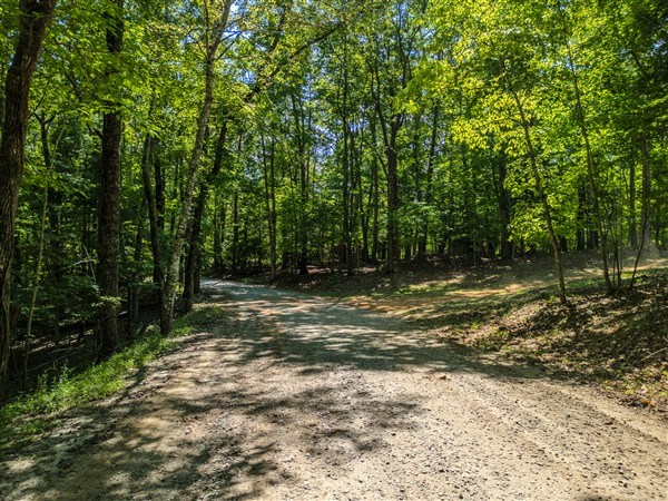 Vacant Tipton Springs Road