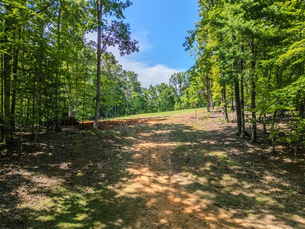 Vacant Tipton Springs Road