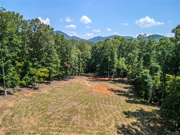 Vacant Tipton Springs Road