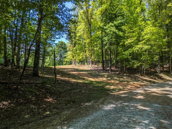 Vacant Tipton Springs Road