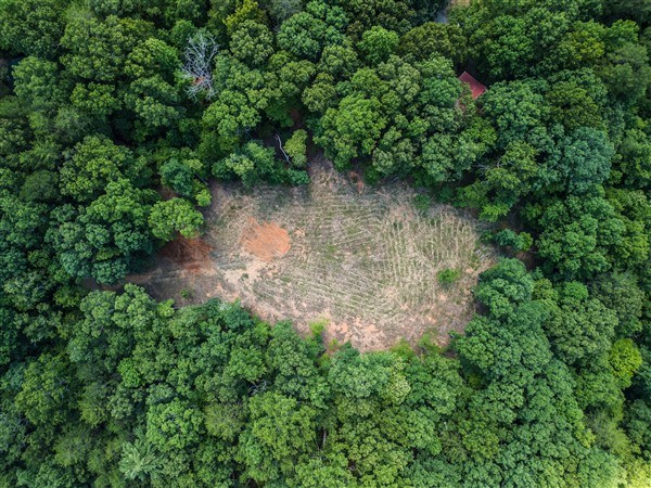 Vacant Tipton Springs Road