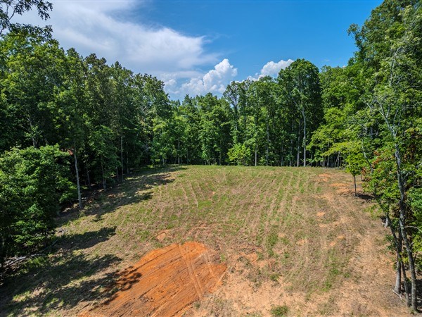 Vacant Tipton Springs Road