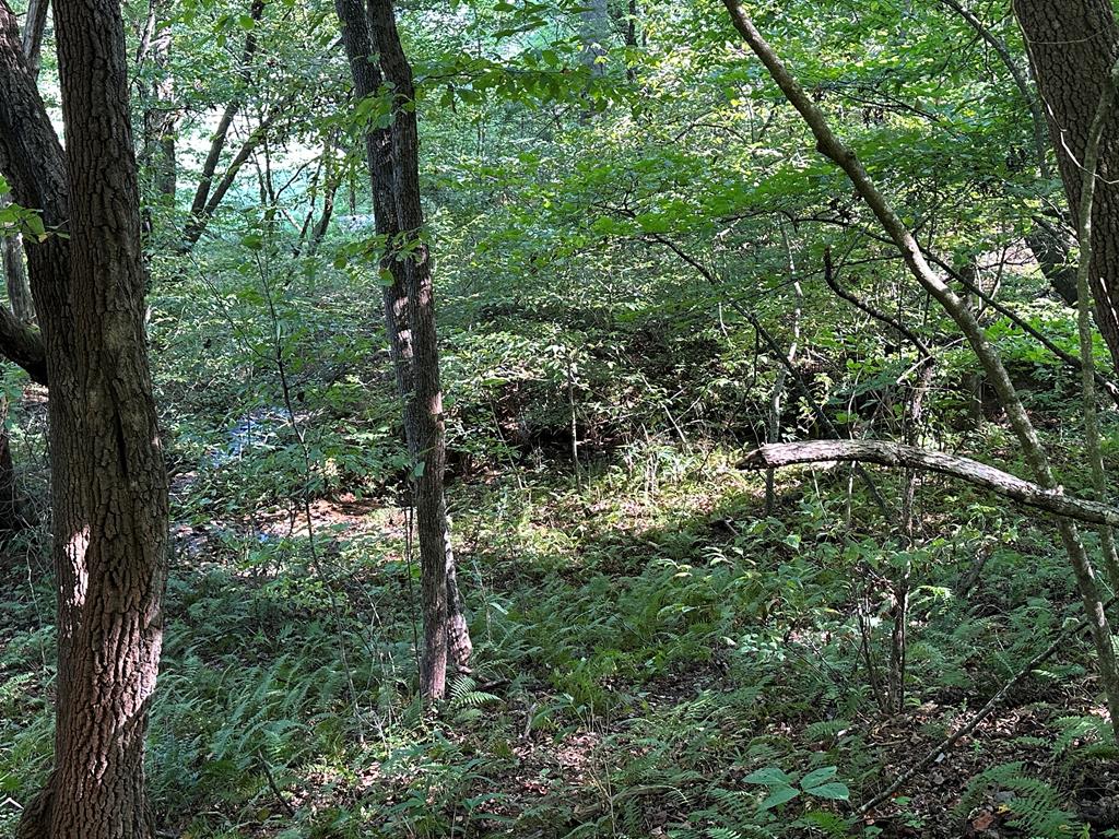 405 Shady Lane