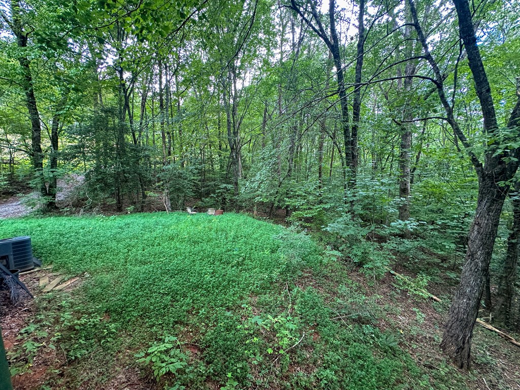 405 Shady Lane