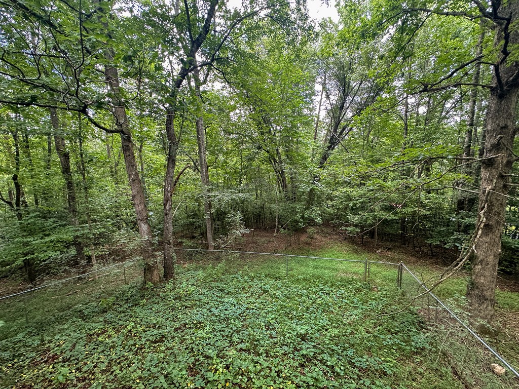 405 Shady Lane