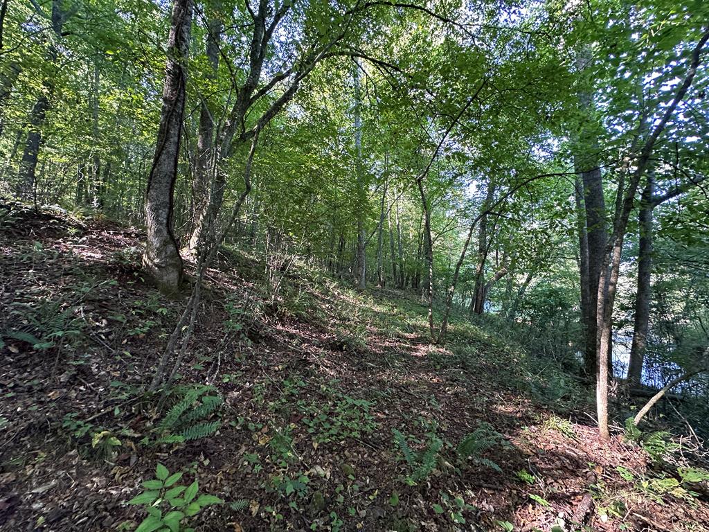 405 Shady Lane