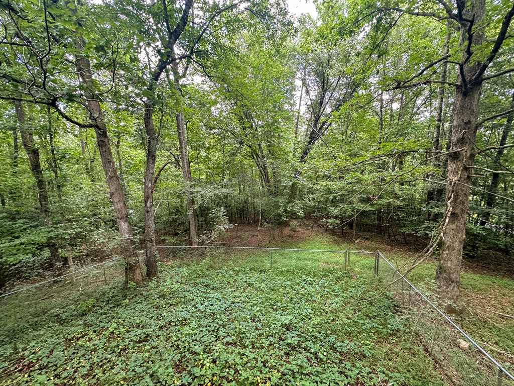 405 Shady Lane
