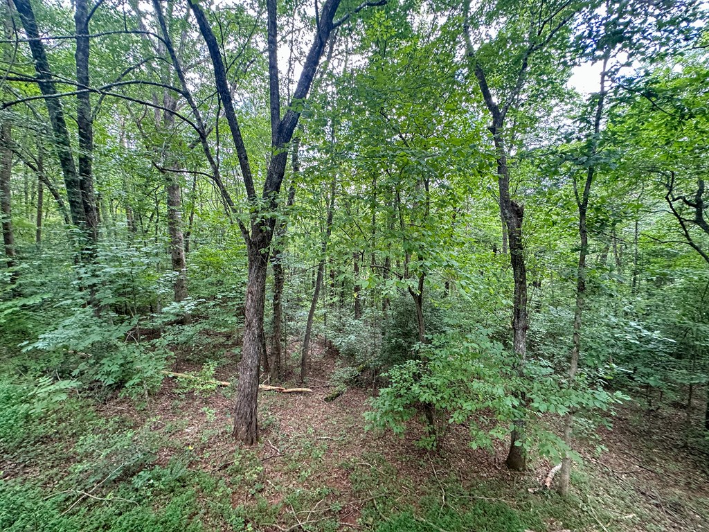 405 Shady Lane