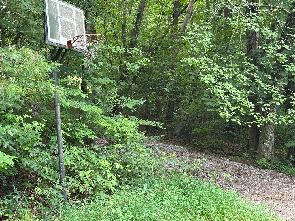 405 Shady Lane