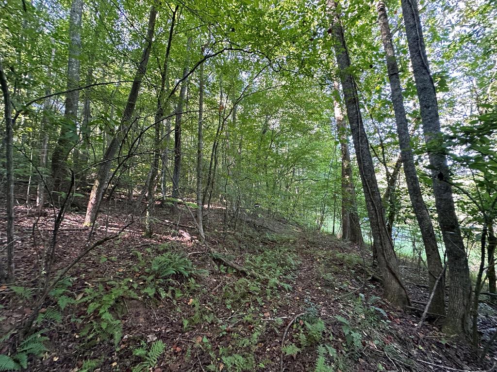 405 Shady Lane