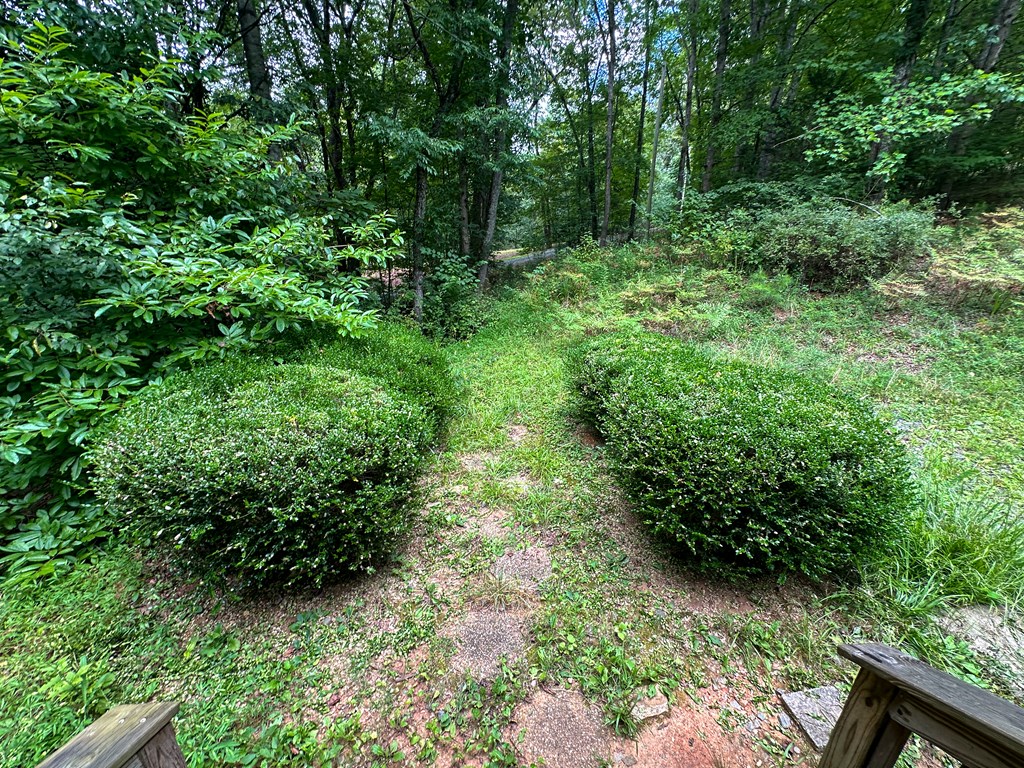 405 Shady Lane
