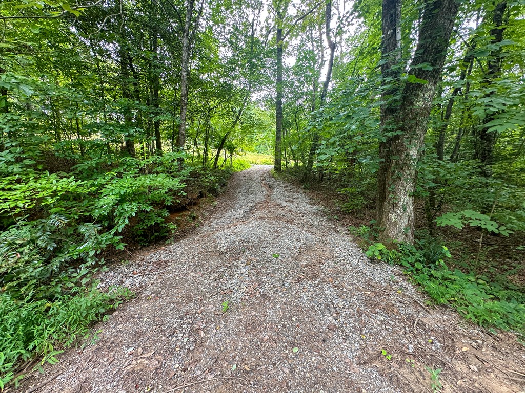 405 Shady Lane