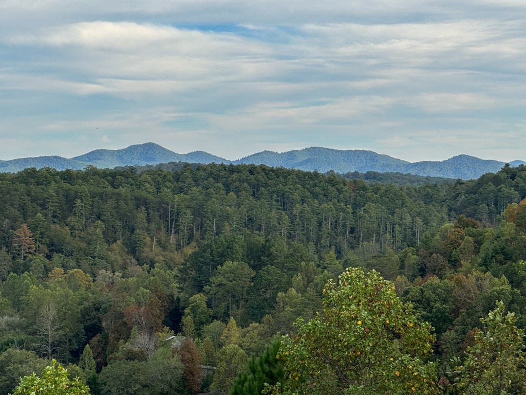 101 Toccoa Vista Lane