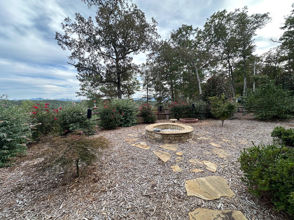 101 Toccoa Vista Lane