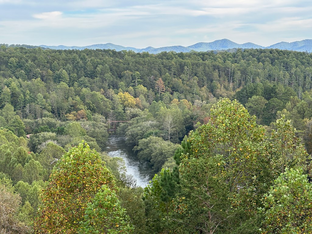101 Toccoa Vista Lane