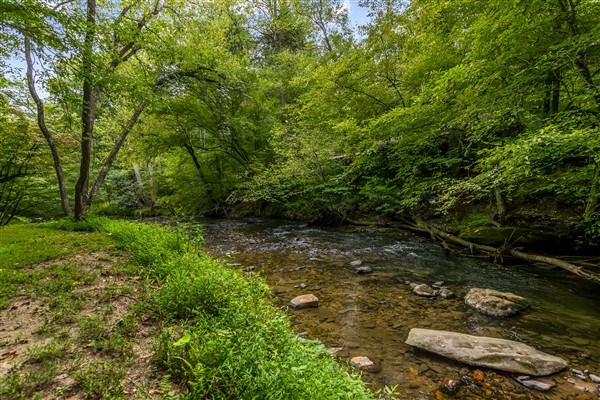 1519 Tipton Springs Road