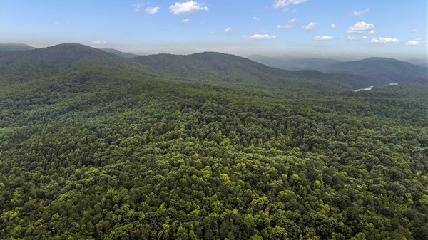 1519 Tipton Springs Road