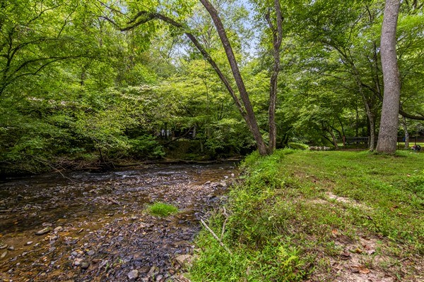 1519 Tipton Springs Road