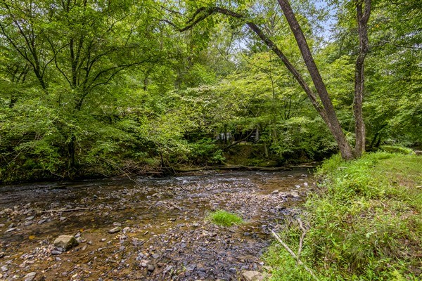 1519 Tipton Springs Road