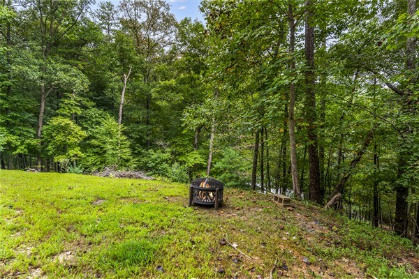 1519 Tipton Springs Road