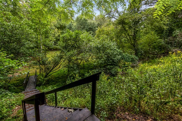 1519 Tipton Springs Road