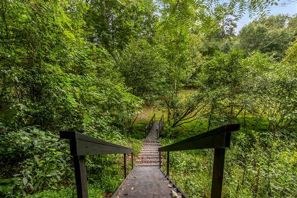 1519 Tipton Springs Road