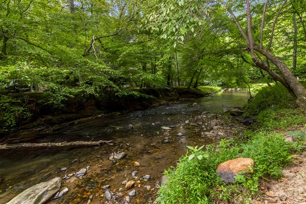 1519 Tipton Springs Road