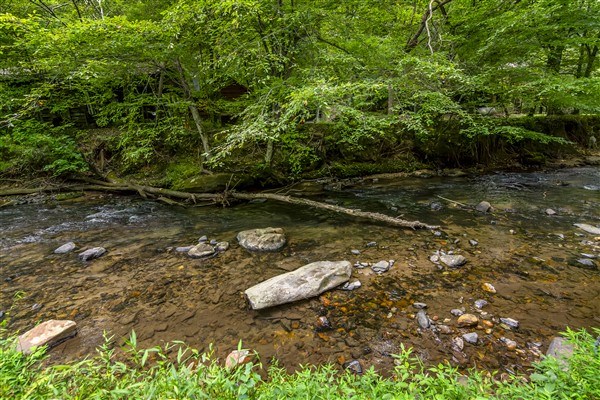 1519 Tipton Springs Road