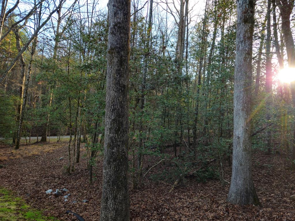 167 Happy Valley Lane