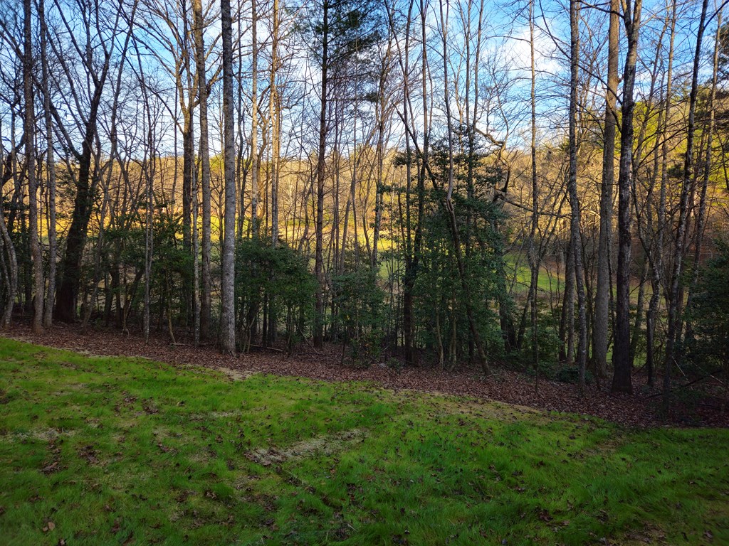 167 Happy Valley Lane