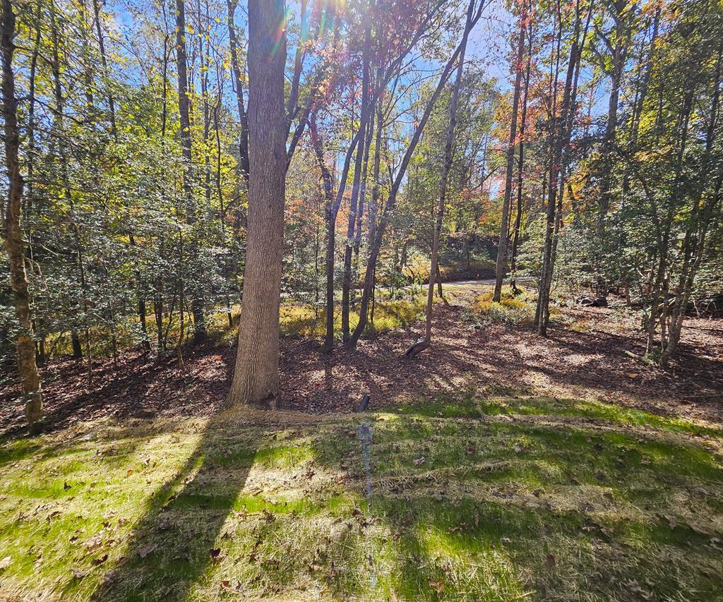 167 Happy Valley Lane