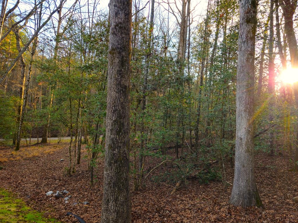 167 Happy Valley Lane