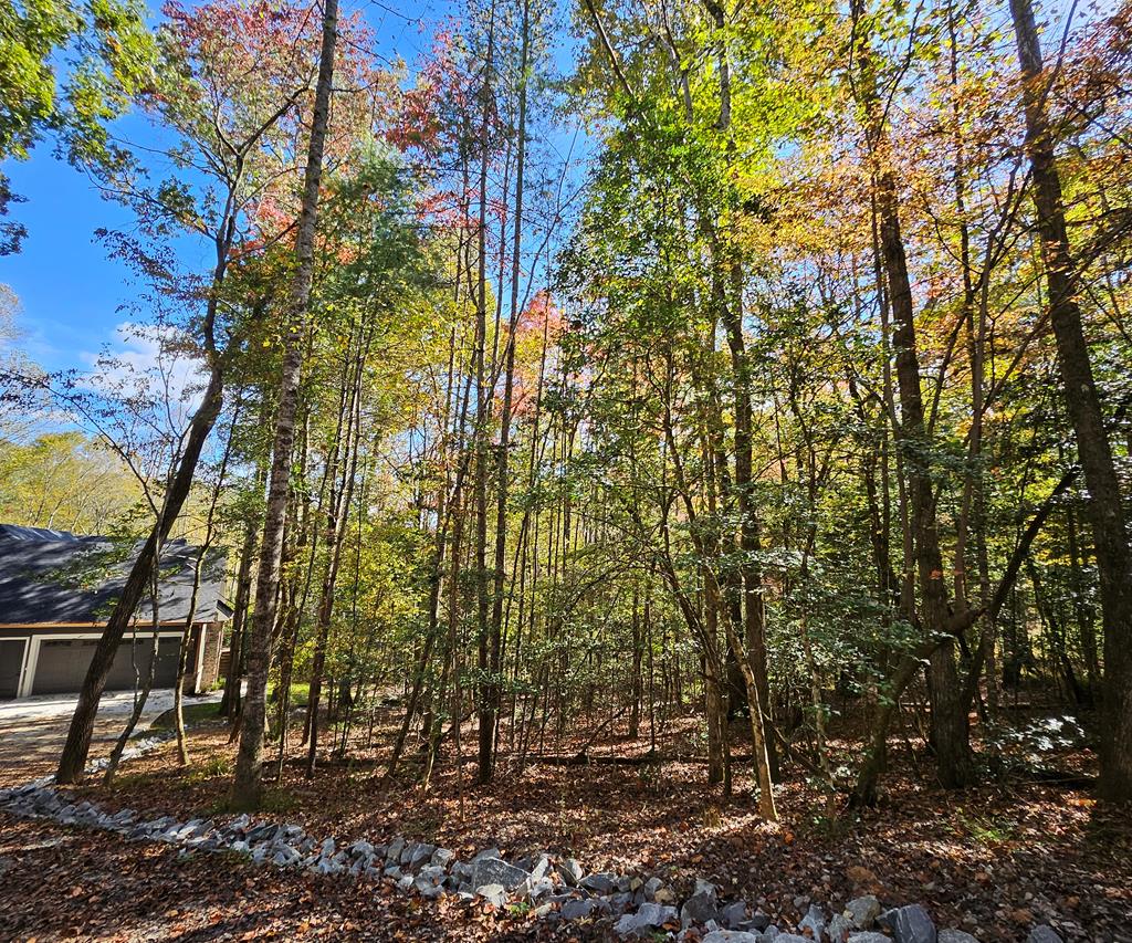 167 Happy Valley Lane