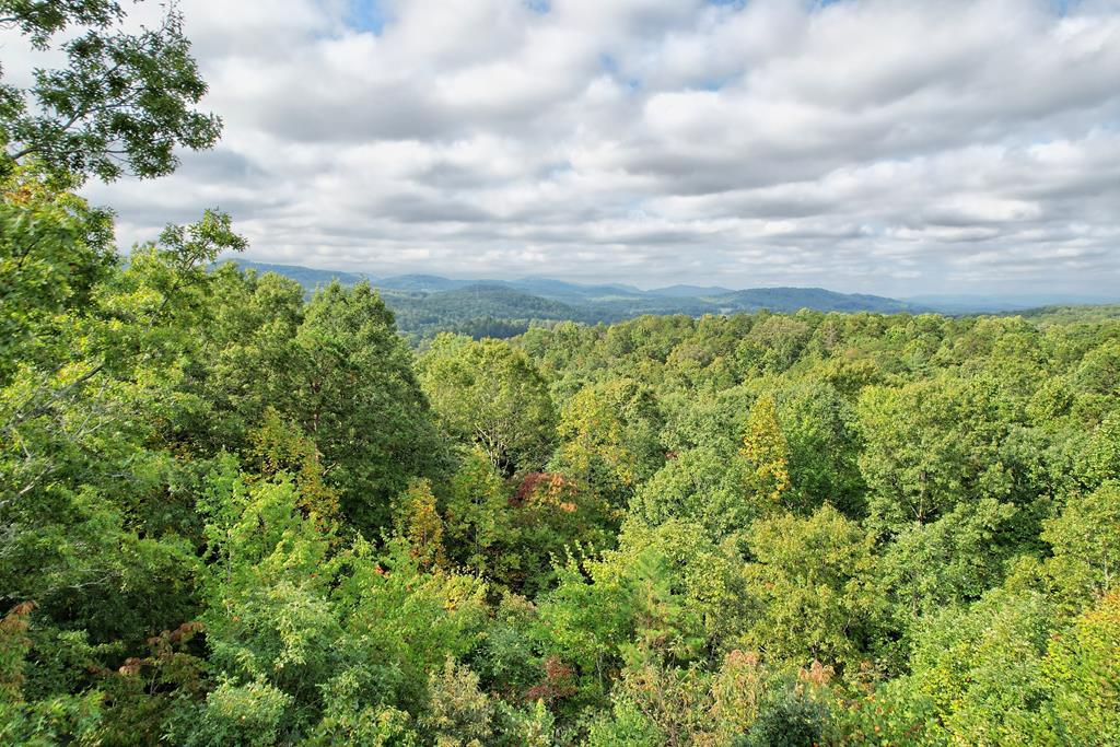 13 Spring Ridge Trail