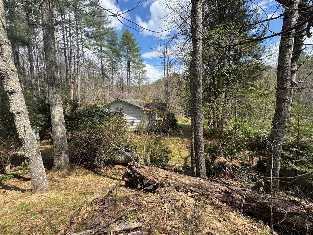 671 Greasy Creek Road