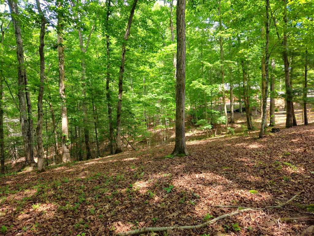211 Winding Brook Trail