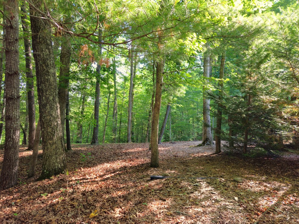 211 Winding Brook Trail