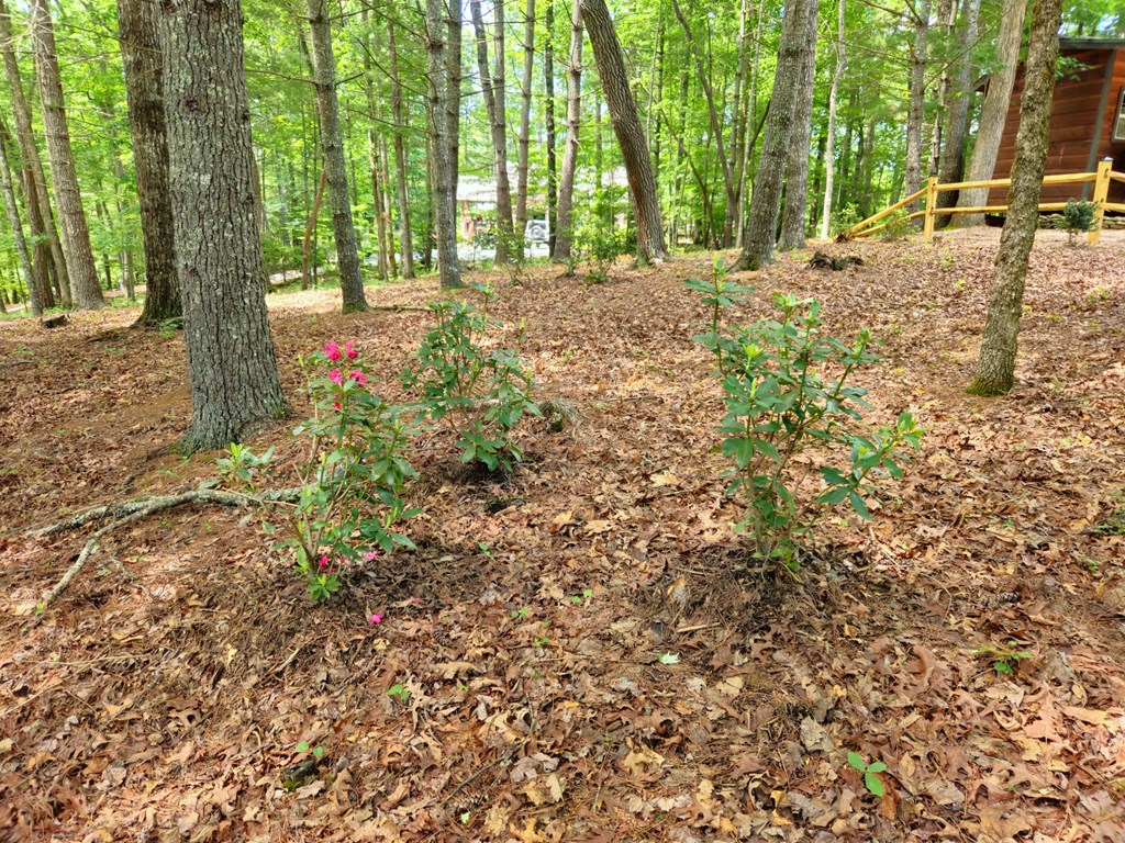 211 Winding Brook Trail