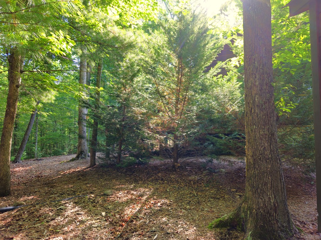 211 Winding Brook Trail