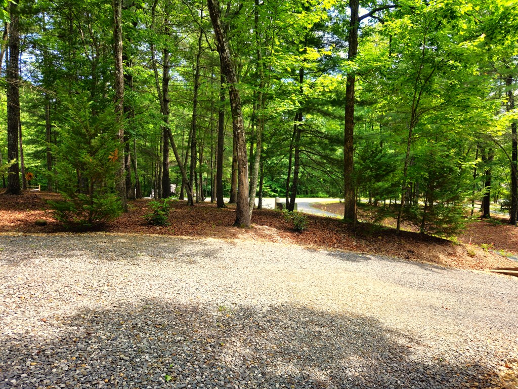 211 Winding Brook Trail