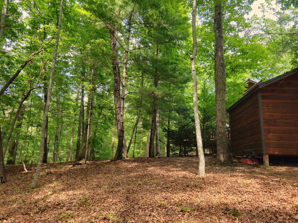 211 Winding Brook Trail