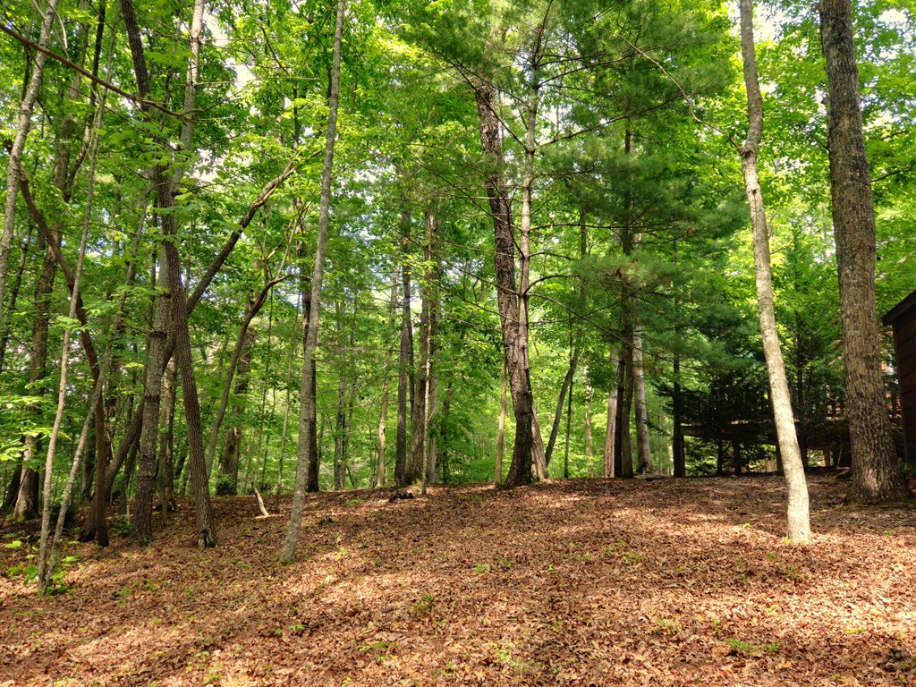 211 Winding Brook Trail