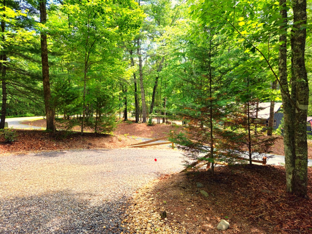 211 Winding Brook Trail