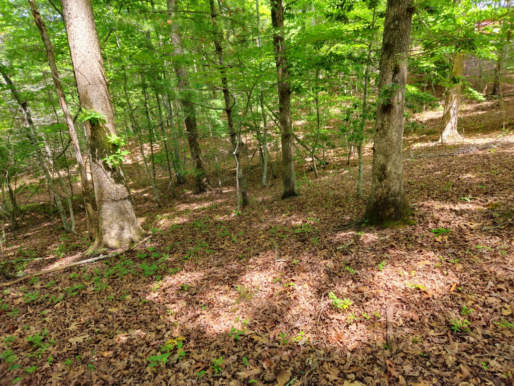 211 Winding Brook Trail