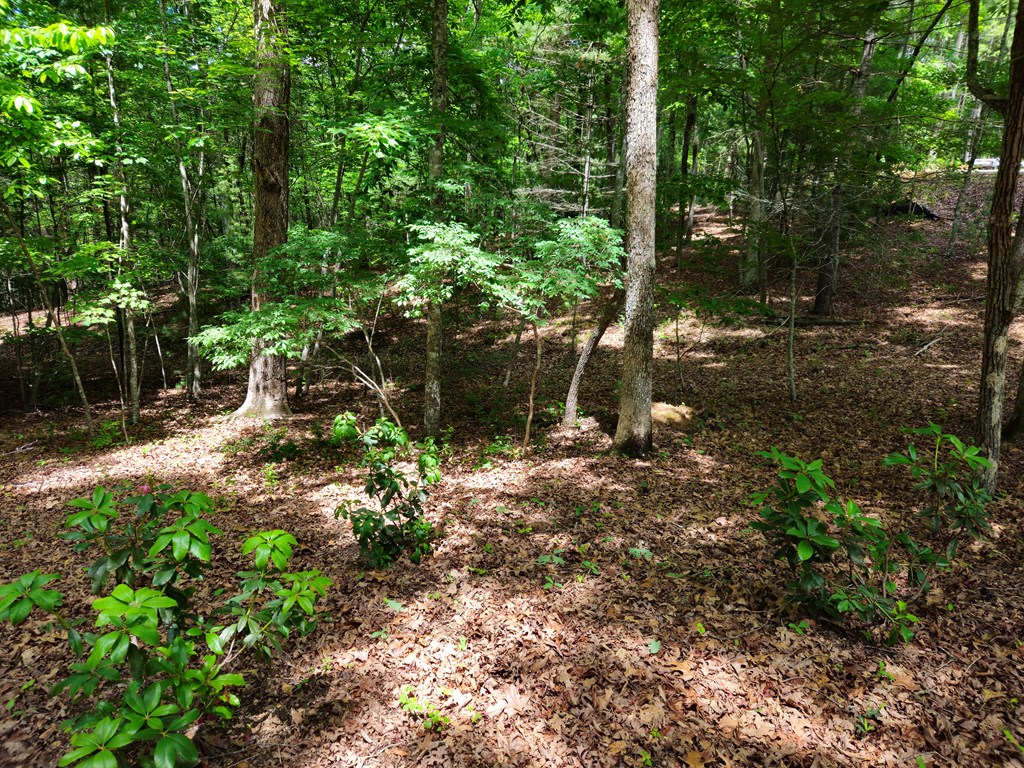 211 Winding Brook Trail