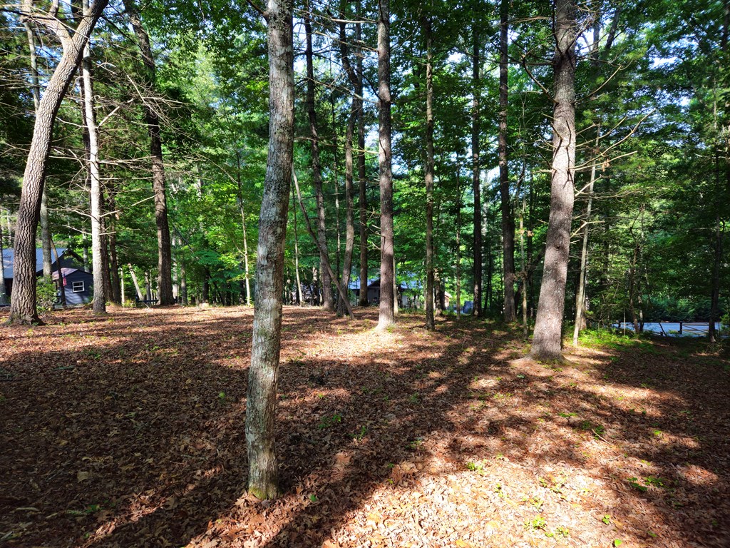 211 Winding Brook Trail